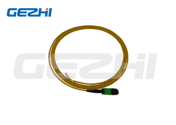 satın al SM 9/125 Mpo Lc Fiber Optic Pigtail Patchcord ve Özel Uzunluklı online manufacture