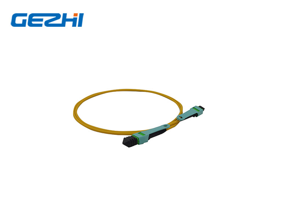 LC OM3/OM4 8/12/24f MPO/MTP Fiber Optic Patch Cord MPO ile Ağınızı yükseltin