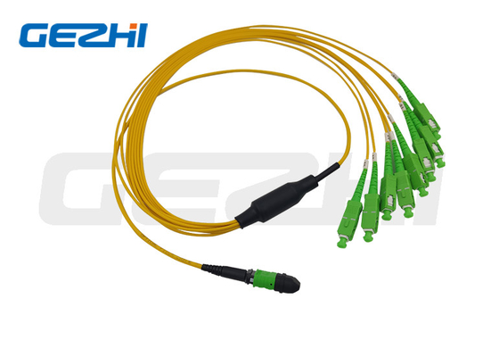MTP/MPO Gövde Kablosu 12 çekirdekli/24 çekirdekli/48 çekirdekli/72 çekirdekli/96 çekirdekli/144 çekirdekli OS2 Fiber Optik Yama Kablosu