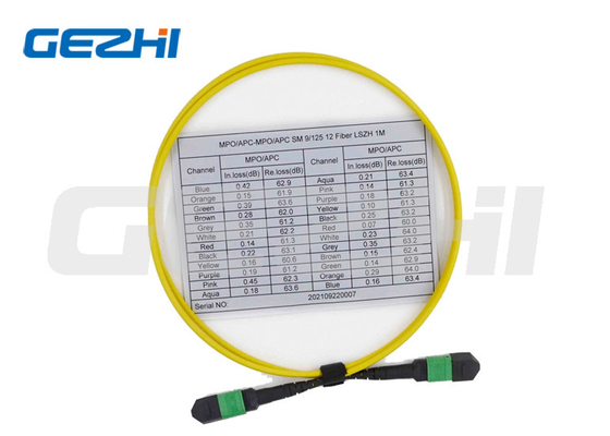 12 Fiber Çok Modlu Yama Kablosu Serisi Dişi OS2 9/125 MPO Kablosu