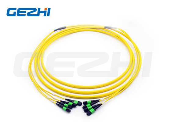 48F MPO (Kadın) - MPO (Kadın) 3.0mm LSZH Fiber Optic Patch Kablosu / Gövde Kablosu